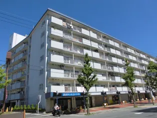 山科ハイツ【7階】の外観