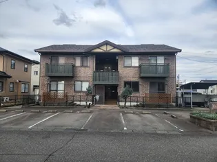 サンフラワーの画像