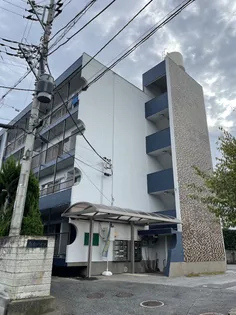 南台ハイツ【4階】の外観