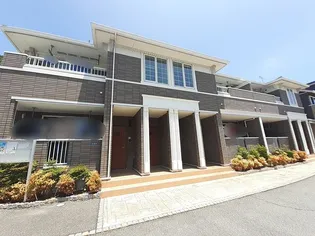 アプリコット Aの画像