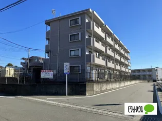 エクセルの画像