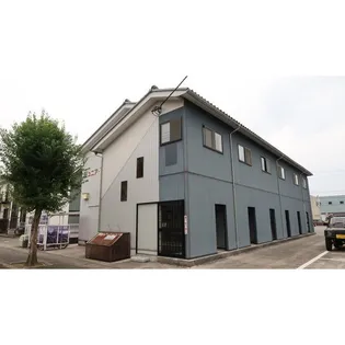 ジュニア Yの画像