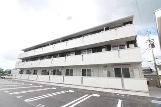 セレブ ミモザの画像