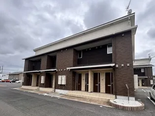 CAT COCOAIIBの画像