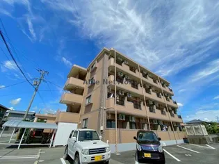 ROUND PURE 21の画像