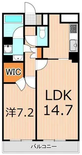 CITYPLACEAYASE【8階】の間取り