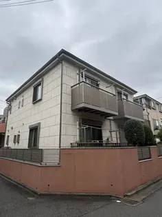 サングリーンの画像