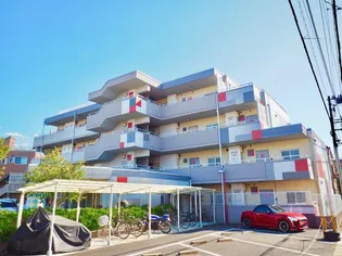 テラマエフラッツ諏訪【4階】の外観