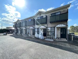TIFOSO川島の画像
