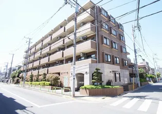 ディアナステージ中幸の画像
