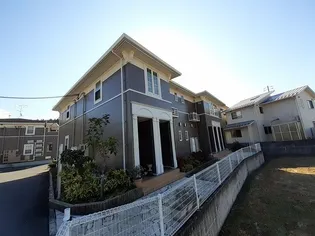 グレイスAの画像