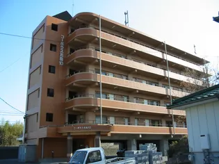 コーポラス元島10の画像