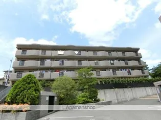 テラ青葉【4階】の外観