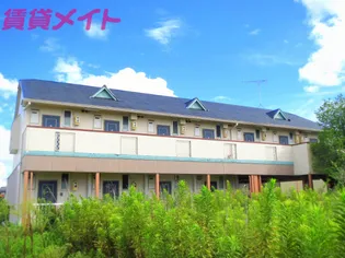 フラットYの画像