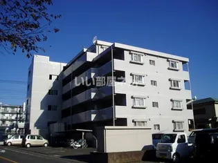 エクセレントシティの画像