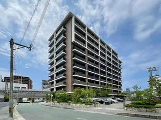 RJRプレシア千早の画像