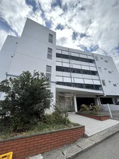 宮崎台ハイツの画像