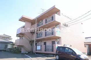 フィロフジヤマの画像