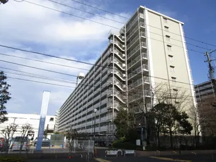 市川パークハイツC棟の画像