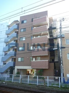 スクエアコートの画像