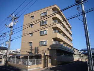 ヴィオレータの画像