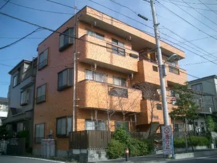 グローリィ フラワーの画像