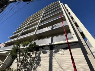 ネバーランド朝霧の画像