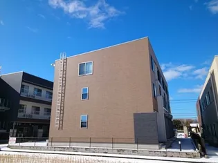 プラシードの画像