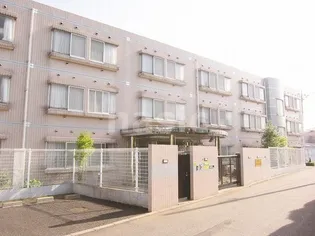 NASIC HOYAの画像