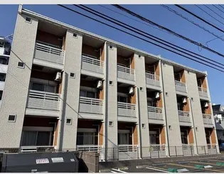 レオネクストボンボネーラの画像