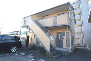 NAGOMIの画像