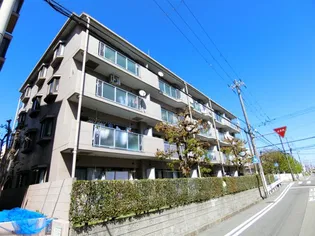 園民マンションの画像