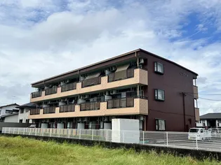 リンピア宝の画像