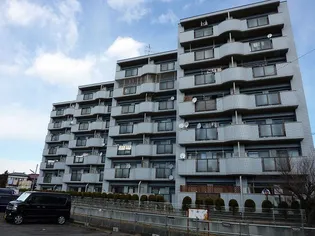 シャンハピネスの画像