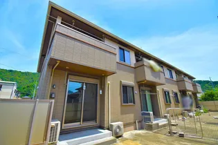 ドルチェの画像