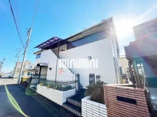 エクセラの画像