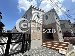 ゼルコーバの画像