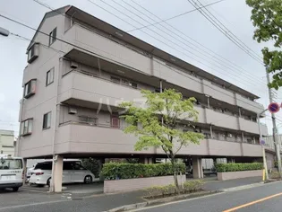 MTメゾンの画像