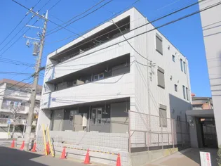 ベリ マーベラの画像