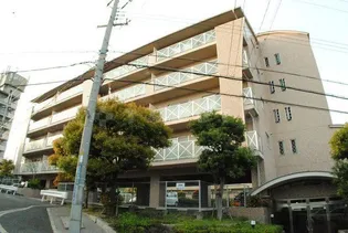 アムール千里の画像