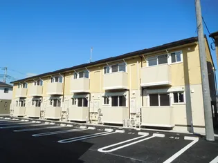 MARIGOLDの画像