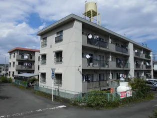 静岡県静岡市駿河区鎌田【マンション】の外観