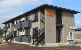 ハイツルネスの画像