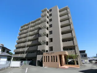 カトルセゾンの画像