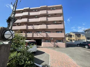 グランデハクタカの画像