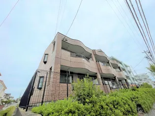 ニュールック岩崎III【2階】の外観