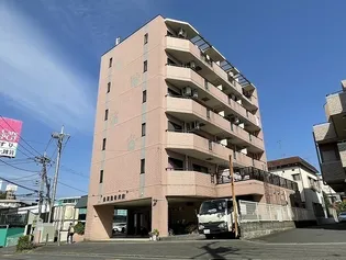 ペディグリーワンの画像