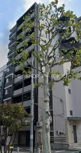 セジョリ早稲田IIの画像