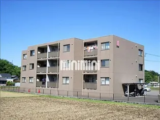 ベルフォーレの画像