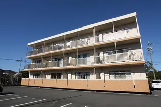 エクランの画像